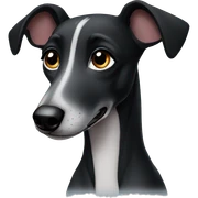 black greyhound puppy  sticker