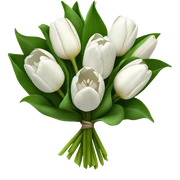 white tulip bouquet  sticker