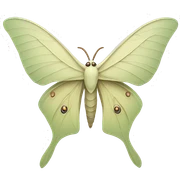 cream colored luna moth sticker