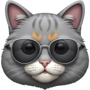 Cat with sunglasses sticker
