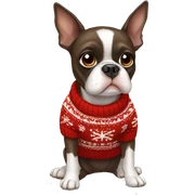 Brown Boston terrier wearing Christmas sweater sticker
