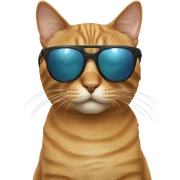 Cat with sunglasses sticker