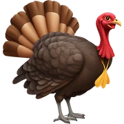 turkey sticker