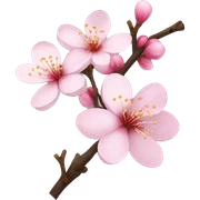 cherry blossom sticker