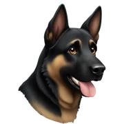 Black German Shepherd  sticker
