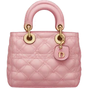 Christian Dior bag sticker