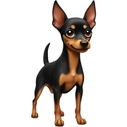 miniature pinscher sticker