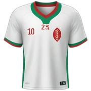 Moroccan football jersey  sticker