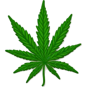 marijuana sticker
