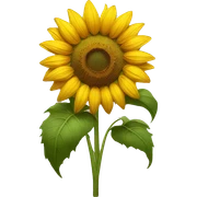 sunflower sticker