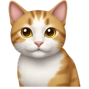 Cat sticker