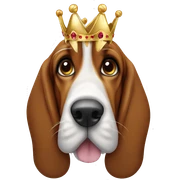 Basset hound with crown sticker