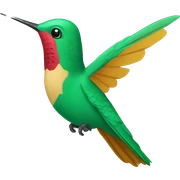colibri sticker