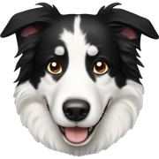 border collie sticker