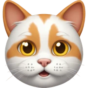 Stupid orange and white cat sticker