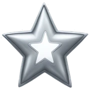 silver star sticker