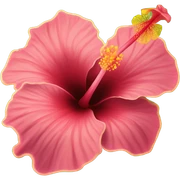 hibiscus flower sticker