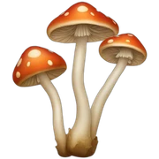 Mushroom sticker