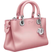 dior bag sticker
