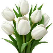 white tulip bouquet  sticker