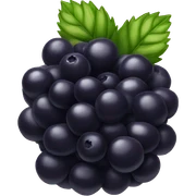 black berry  sticker