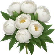 White peonies bouquet  sticker