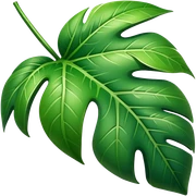 Tropical leaf  sticker