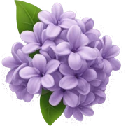 Lilac sticker
