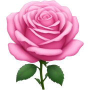 Pink rose  sticker