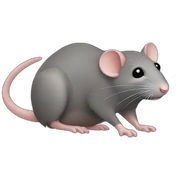rat sticker