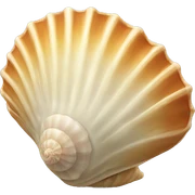 seashell sticker