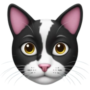 Black and white cat with pink nose sticker