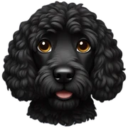 black doodle sticker