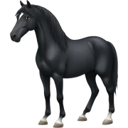 Black horse sticker