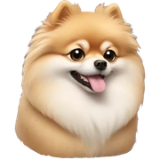 pomeranian  sticker