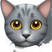 grey cat  sticker