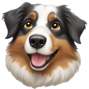 Australian shepherd sticker
