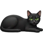  black Carey cat white neck and green eyes lying down sticker
