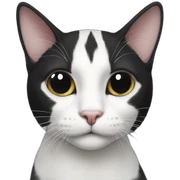 Black and white cat, black tail sticker