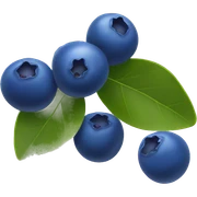 Blueberry  sticker