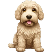 Labradoodle sticker
