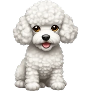 White toy poodle sticker
