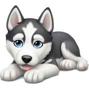 Husky puppy laying sticker