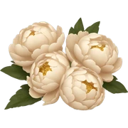 Beige peonies bouquet with golden bow sticker