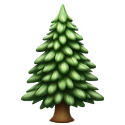  actual white fir christmas tree isolated.  sticker