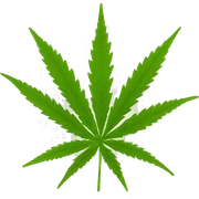 cannabis feliz sticker