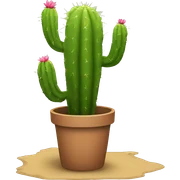 Cactus sticker