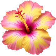 yellow and pink hibiscus flower sticker