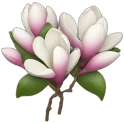 Magnolia bouquet sticker