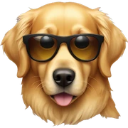 Golden retriever with sunglasses sticker